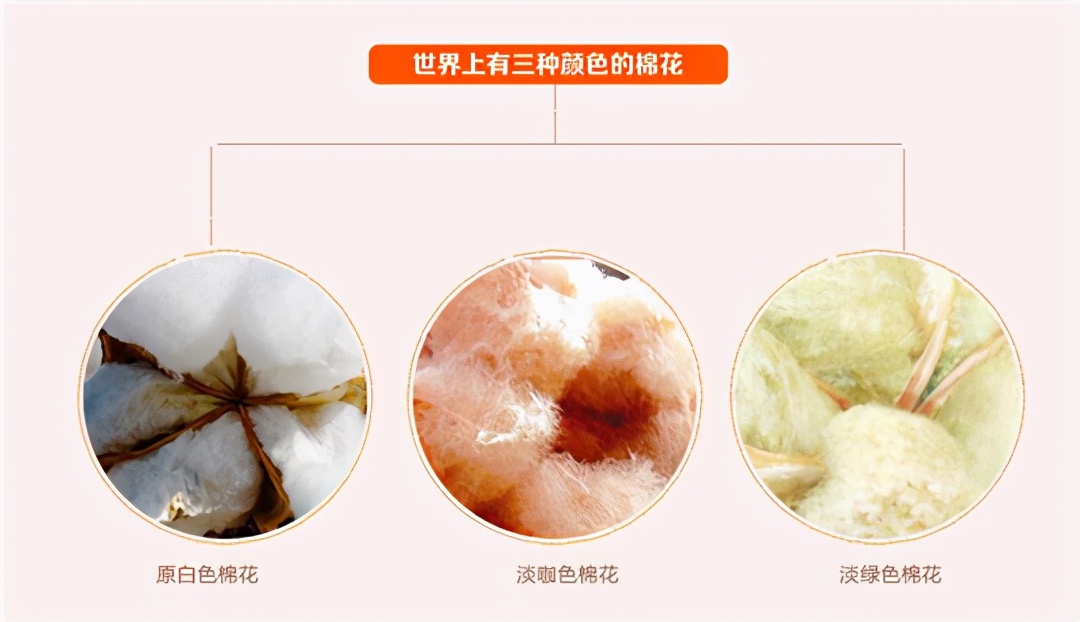 马斯克15年内培育出恐龙,埃隆马斯克复活恐龙计划