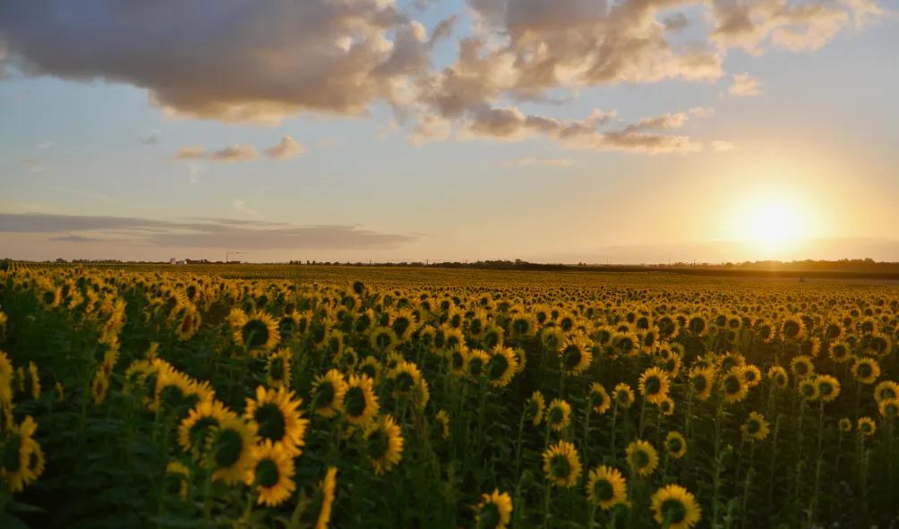 写给自卑的一句话,写给自卑又敏感的你