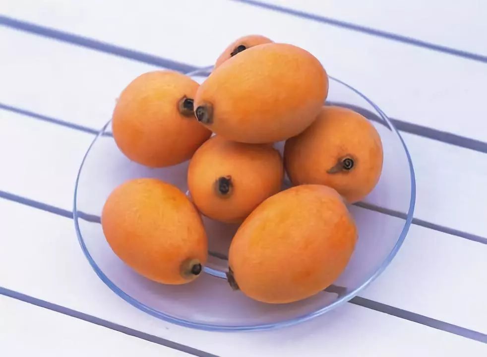 处暑后秋高气爽，养生重在这几点，防大风、栽白菜、远离疾病