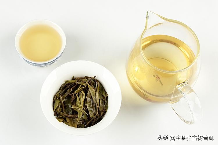 临沧普洱茶茶山介绍,走进勐海茶厂了解前世今生