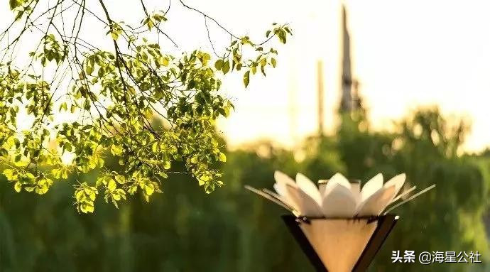 无锡这8大开放式公园高颜值,适合晨夕散步绿荫避暑