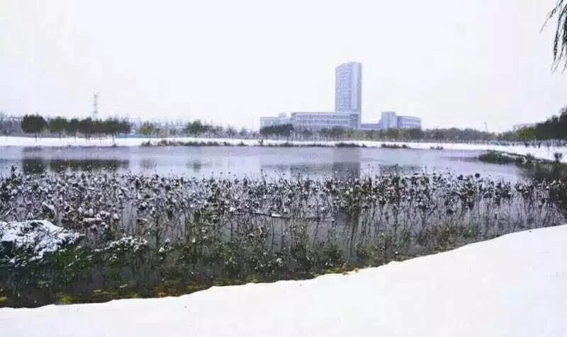 天津超奢华大学,天津大学旧校区取景