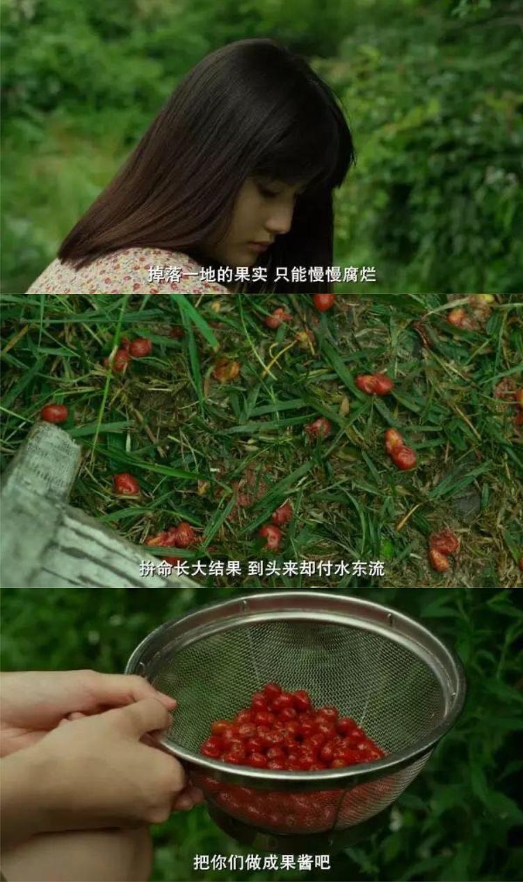 各种果酱的熬制与保存方法,果酱的配方与教程