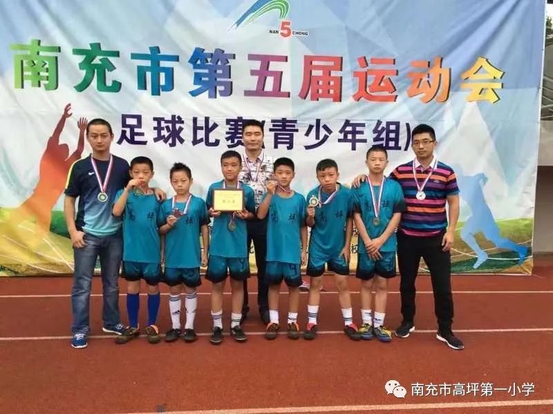 绿茵场上挥洒的青春,绿茵场上挥洒汗水追逐梦想