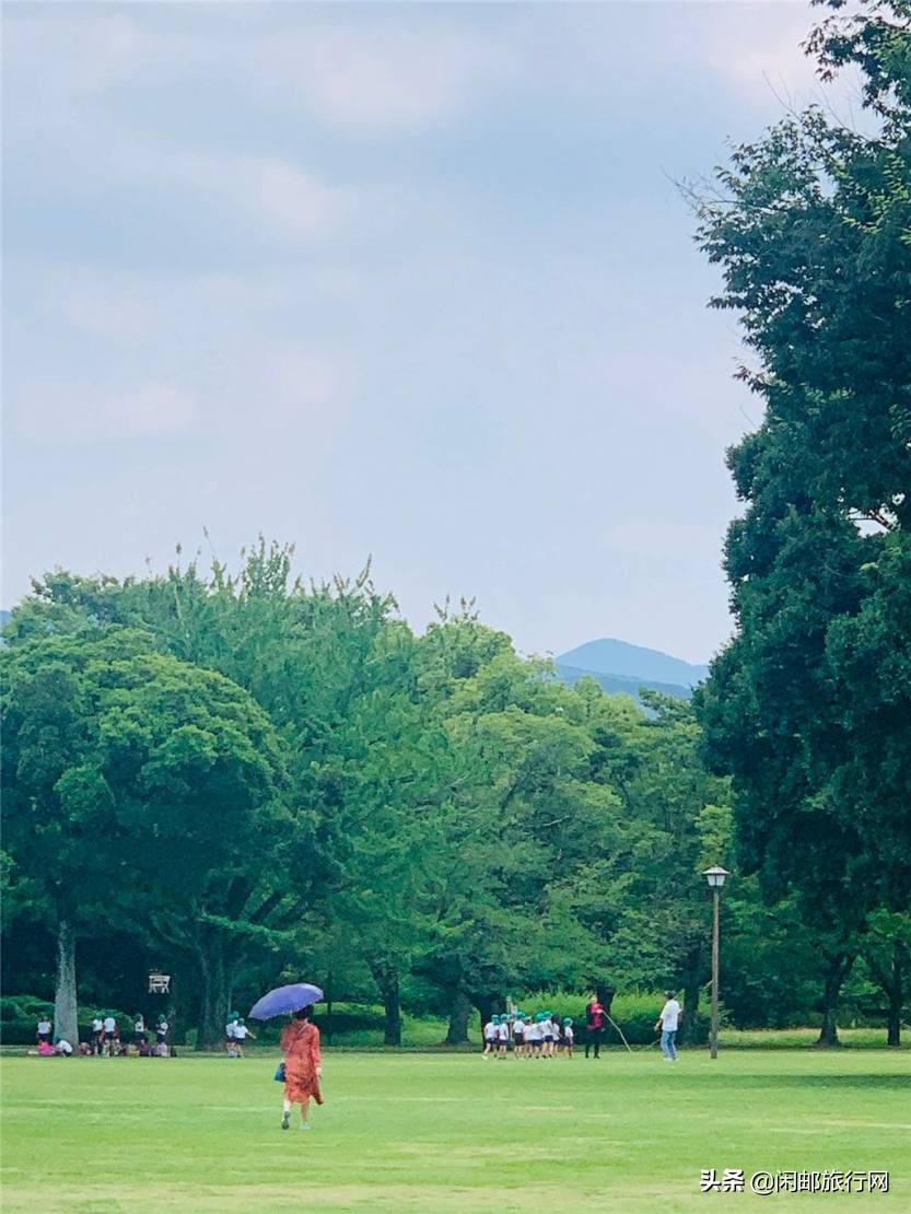 上海乘坐皇家加勒比海洋光谱号去往日本熊本及福冈6天5晚详细攻略