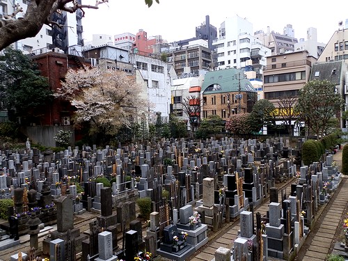 中国人为什么要给日本人扫墓,日本人跟中国人不一样的习俗