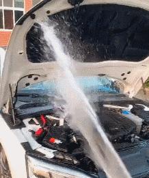 这只鹦鹉一直以为他是一只猴，所以每天都在重复做这个动作