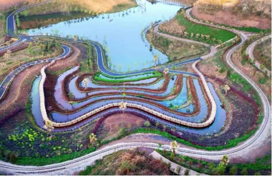 鍏嬩緷榛戠伀鎶婅妭绡濈伀鏅氫細,鍏嬩緷榛戠伀鎶婅妭鐜板満鐩存挱