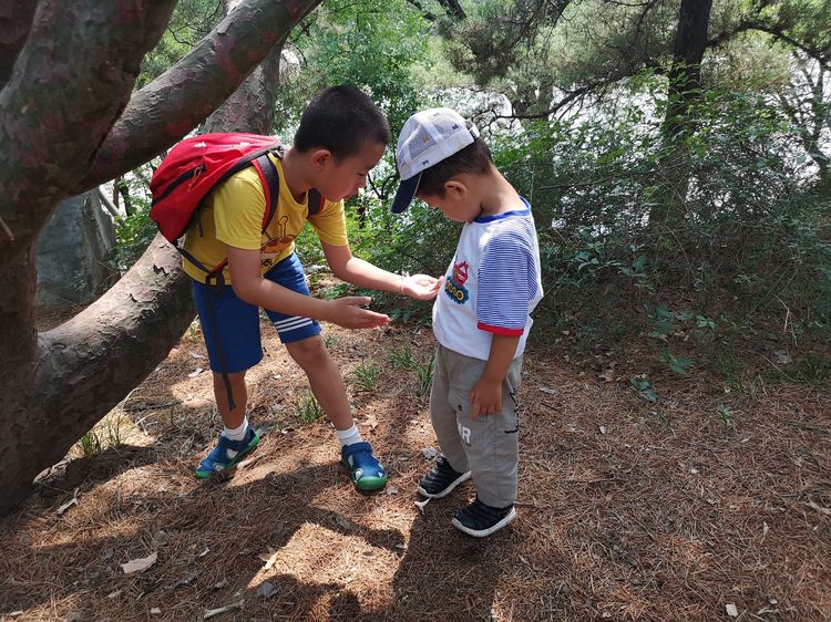 漫步北大校园,北大印象图片