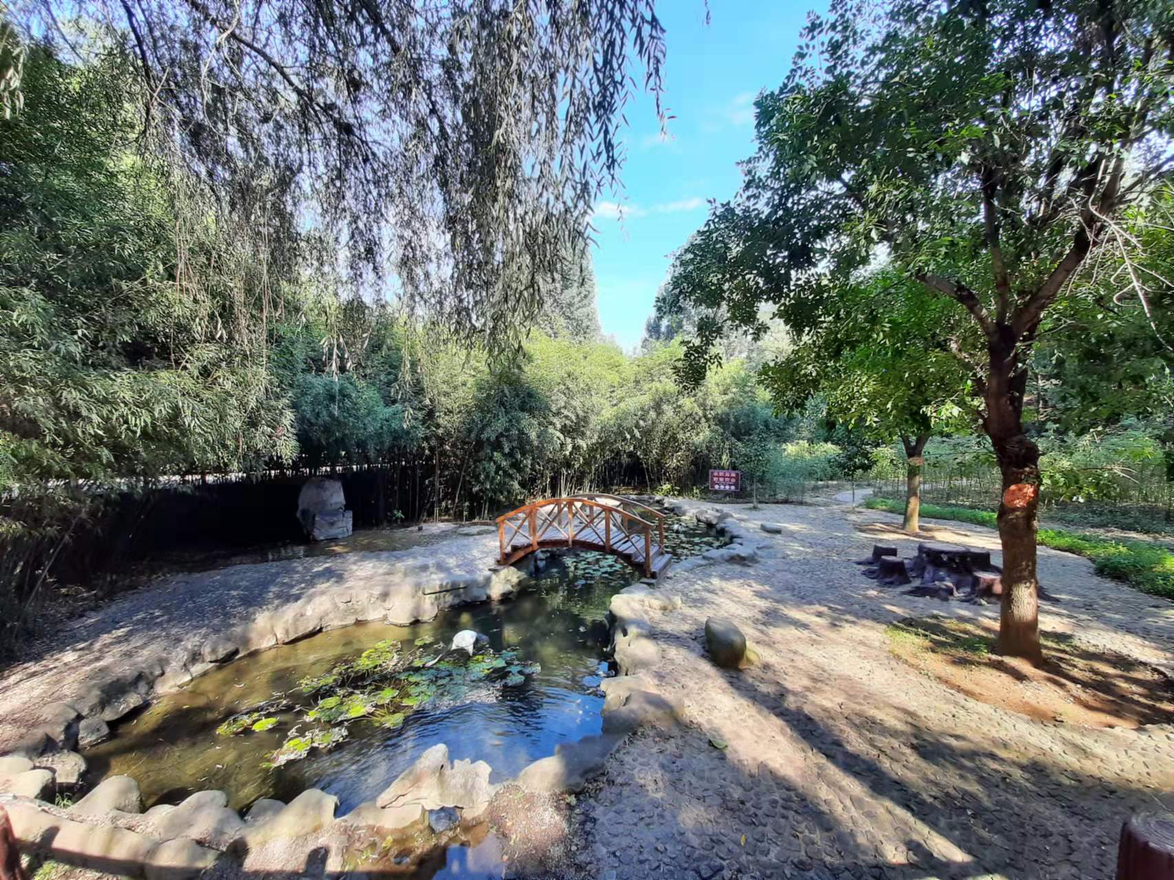 一个南方人对山东的看法,山东人在南方的印象