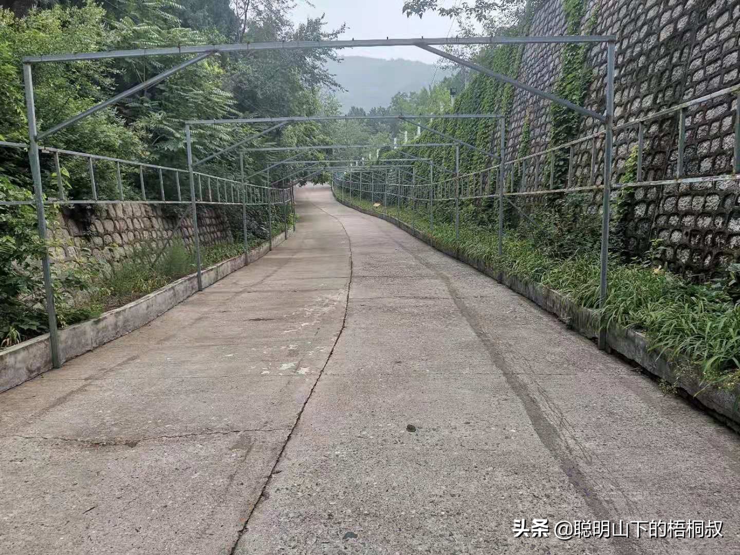 蟒山国家森林公园自由行攻略,北京蟒山森林公园游玩攻略