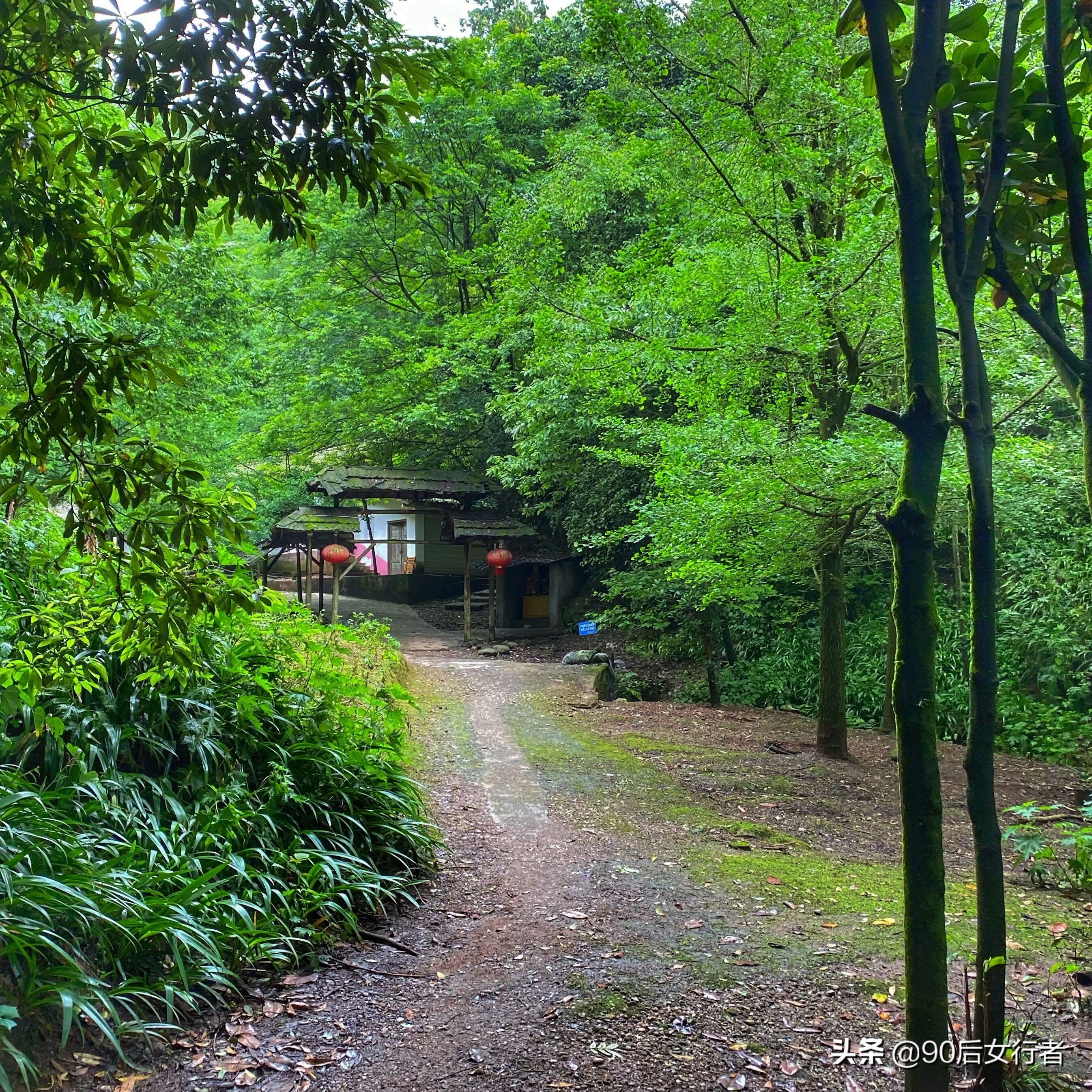 探寻青城山,探秘青城山神仙洞怎么走