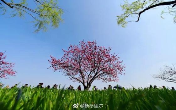 青少年成长的烦恼,青年学生的成长问题