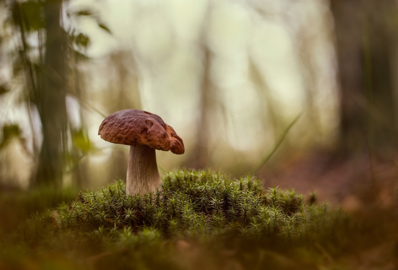 想辞职在家创业做什么,想辞职回家种地怎么办