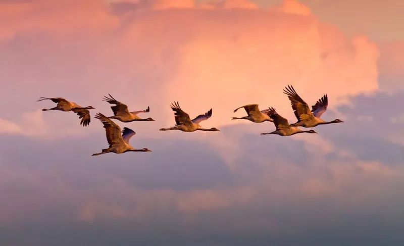 易经提防小人,易经谨慎卦