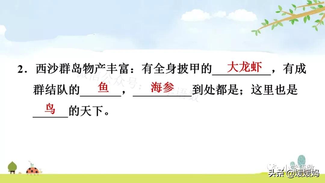 三年级第18课富饶的西沙群岛预习,3年级语文第18课富饶的西沙群岛