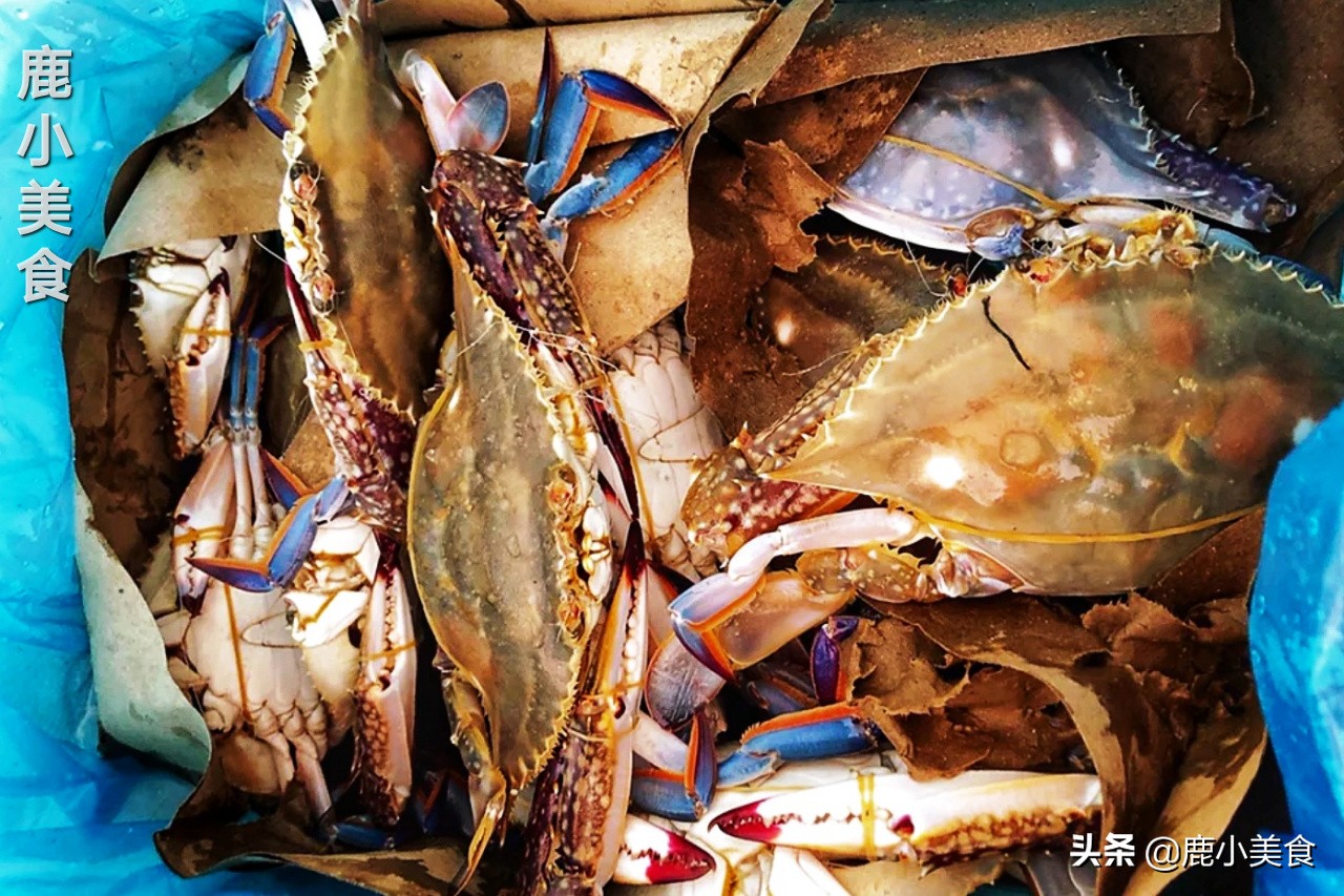 梭子蟹不肥怎么办,梭子蟹不挑黄色的