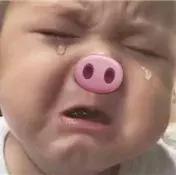 慕斯蛋糕制作要点全教你!不烤不蒸,烘焙新手必学