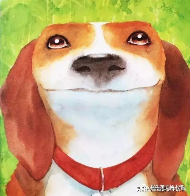 绘本故事有声小熊进城,绘本故事大城市里的小象