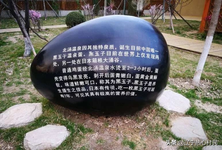 沈阳温泉游玩,沈阳温泉水乐园排行