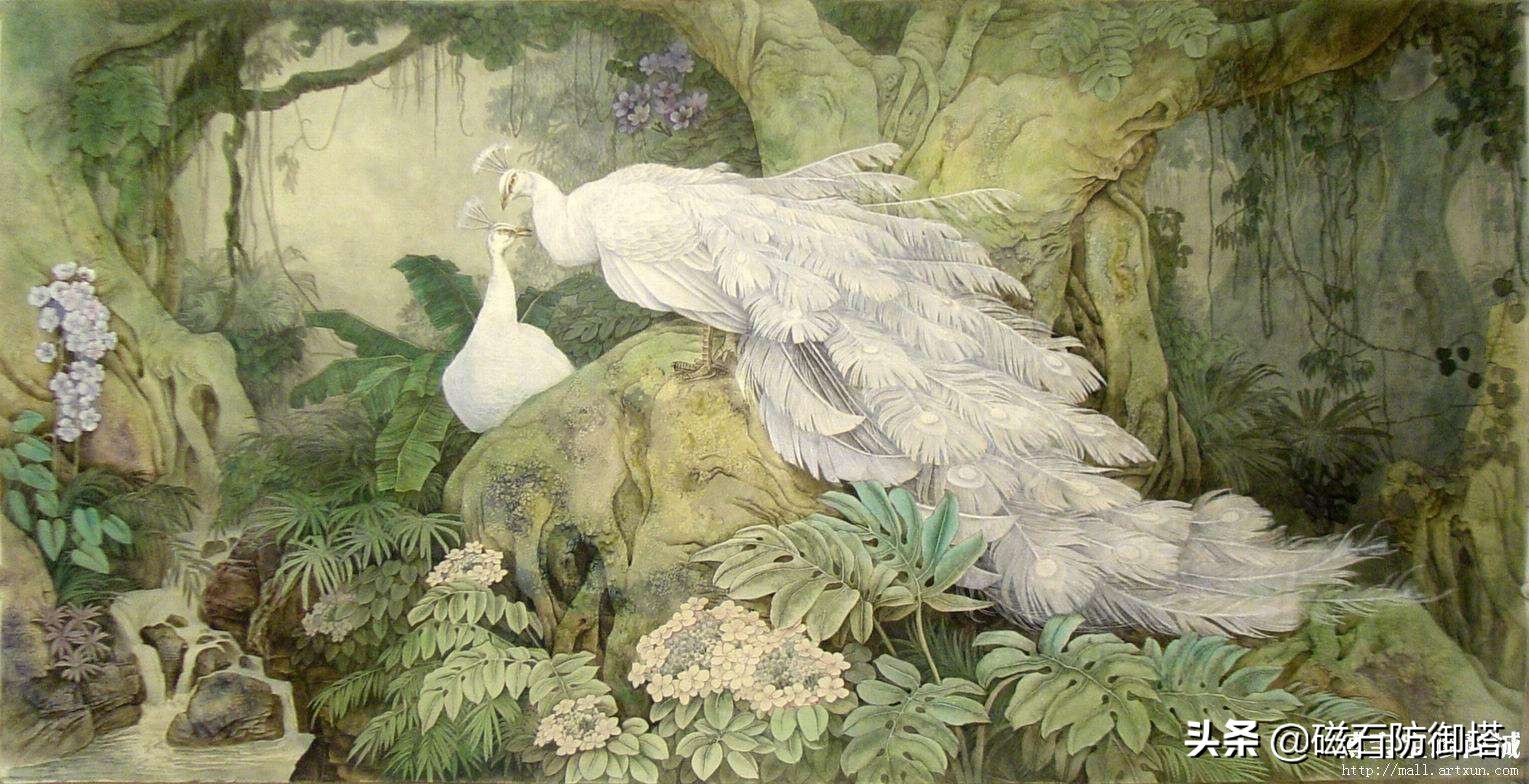 孔雀的真实秘密,孔雀有哪些独特之处