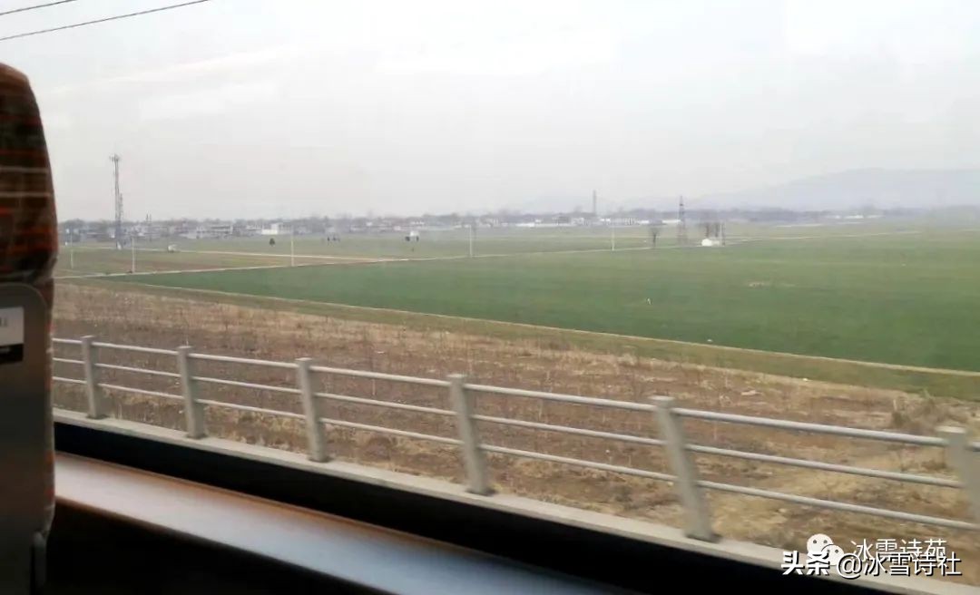 「会员风采」尹国建||疫期复工戏题