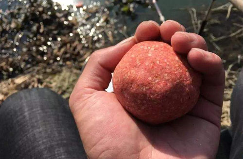 条条都是经典,黑坑钓鲤鱼小黄面饵料味型配方