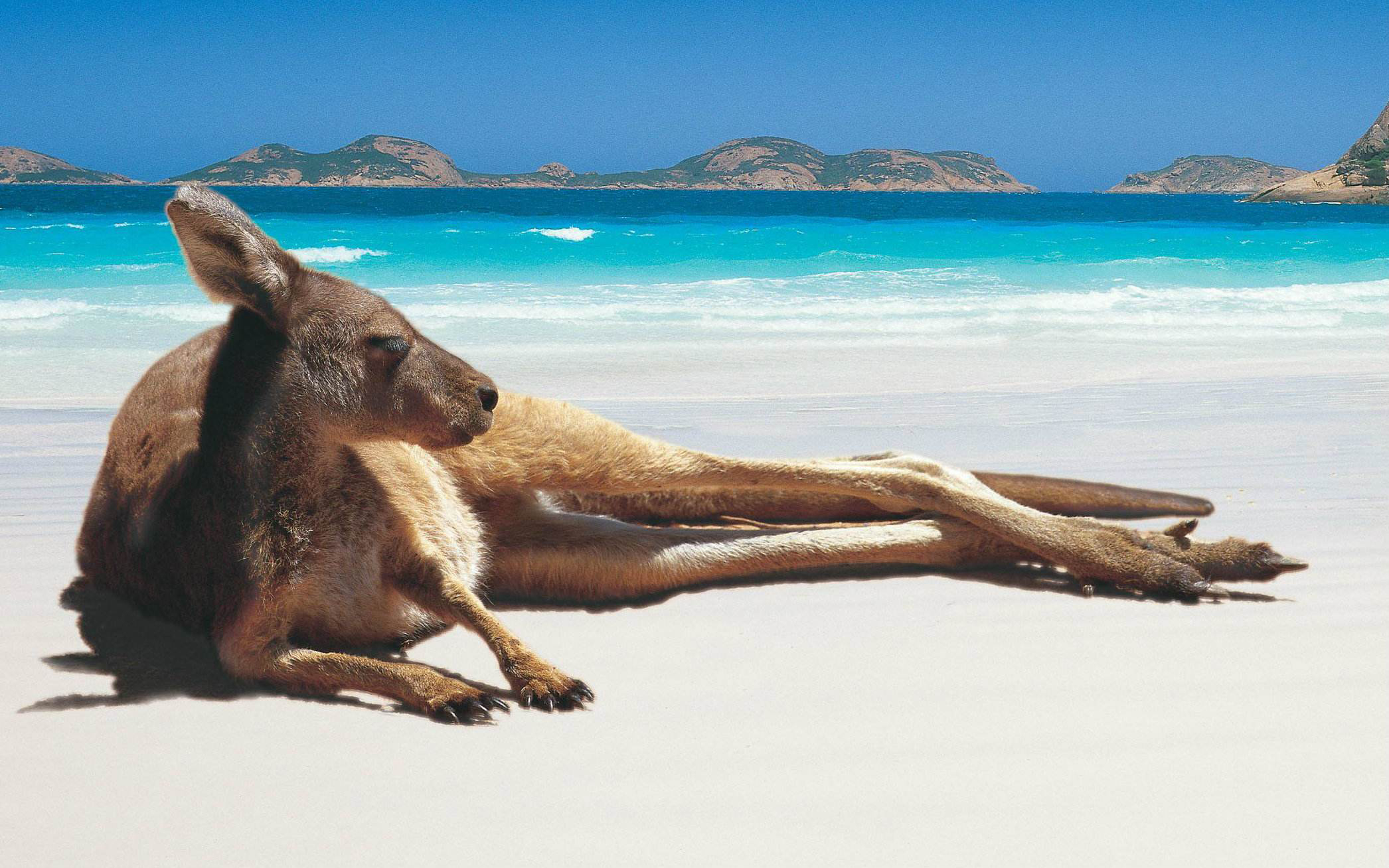 留学澳洲必修课,留学澳洲需带的东西