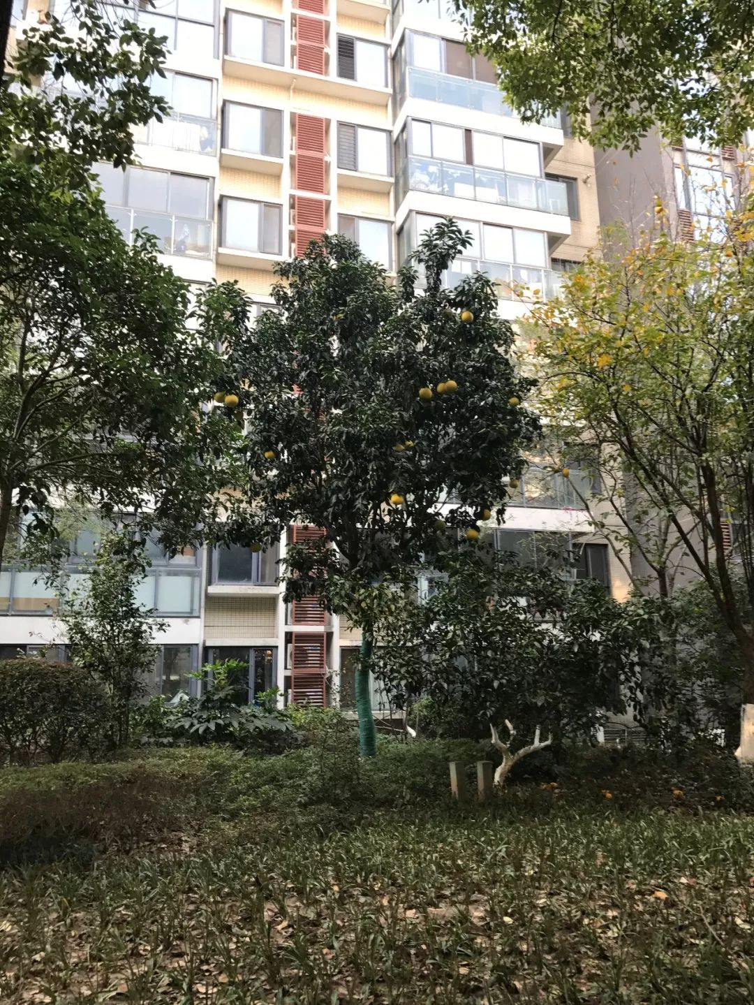 交付10年，涨幅1024%！曾经无人问津的楼盘，现在成了啥样？