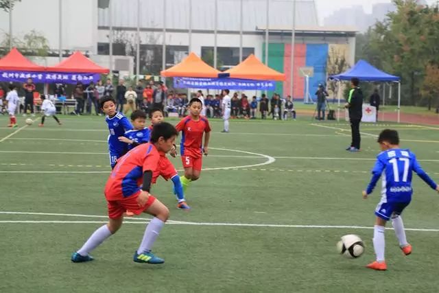 远洋乐堤港活动,远洋运动会