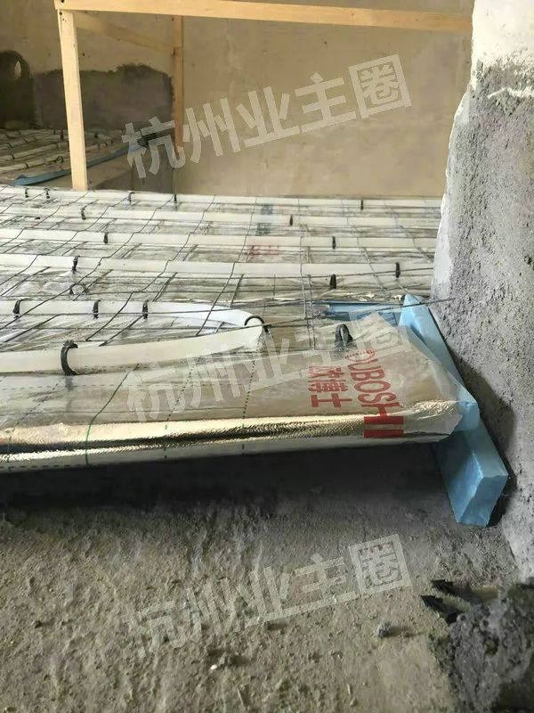 绿都什么意思,绿都包括哪些绿