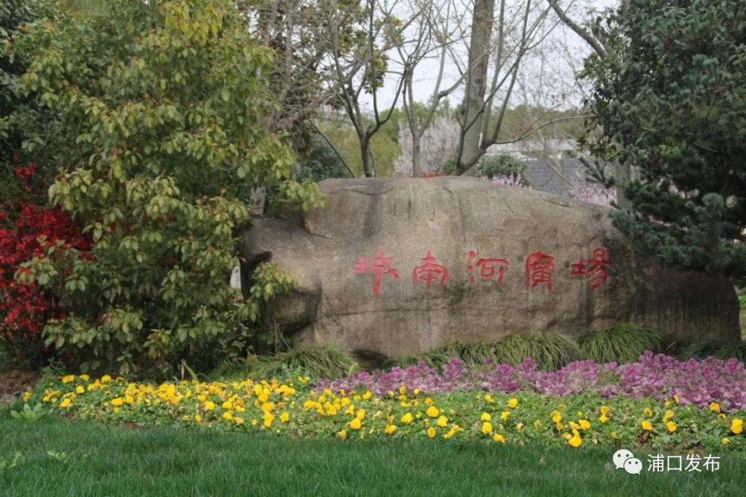 浦口花,南京看花的地方浦口