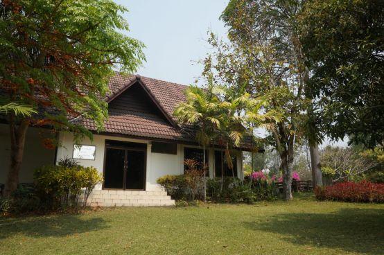 清迈大象义工,清迈大象救助营