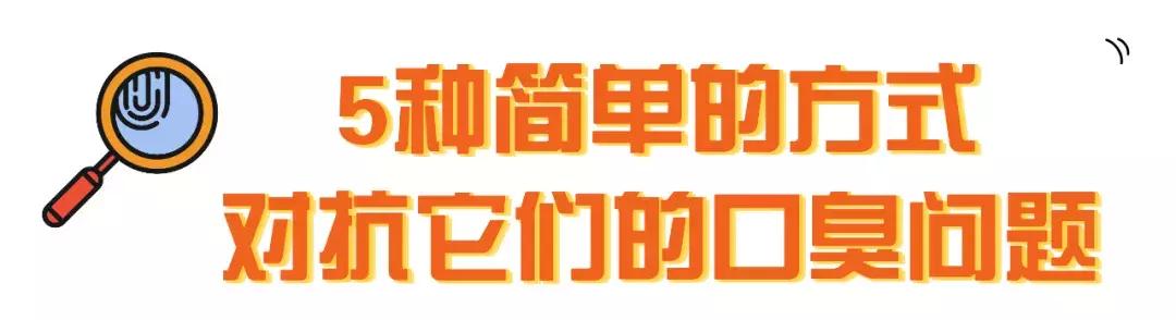 猫咪口臭去除神器,猫咪口炎