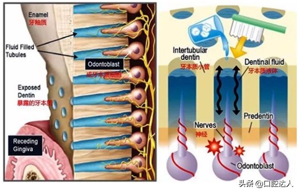 不补牙齿有问题吗,不补牙齿后牙齿会怎样