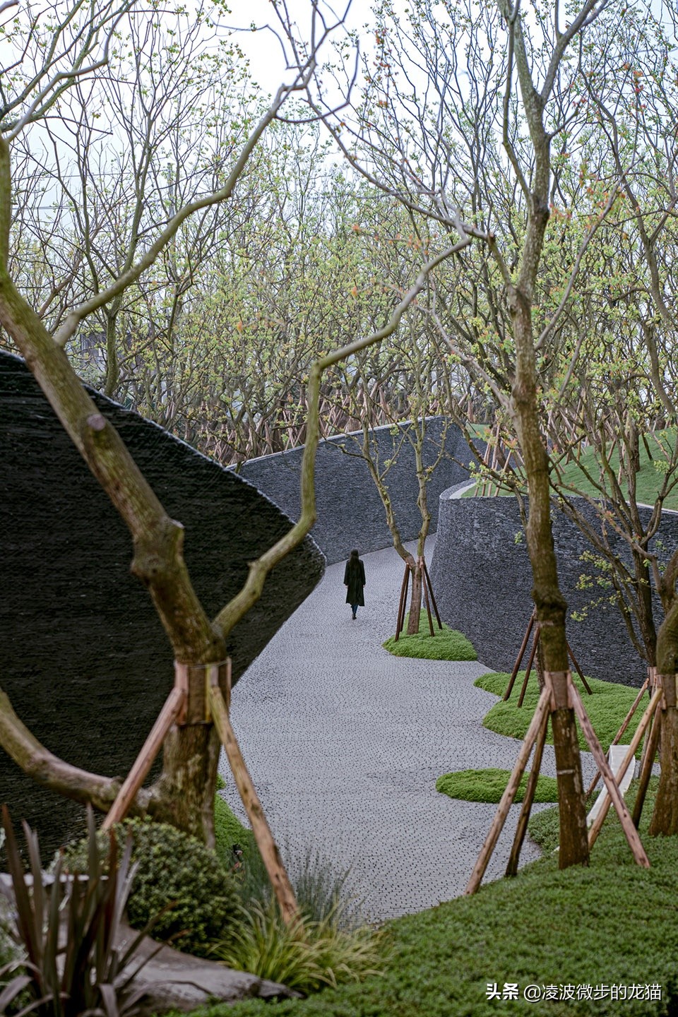 景观道路设计图片,一条景观路设计图片