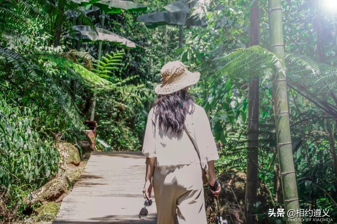 赤水大瀑布 侏罗纪公园 (贵州赤水侏罗纪公园攻略)