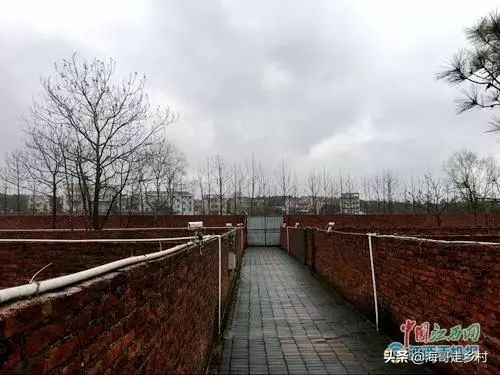 江西省吉水县阜田镇养鹿人罗富苟的传奇人生