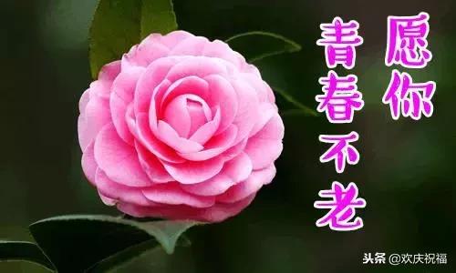 新年微信祝福贺卡,以微信为主题的新年贺卡