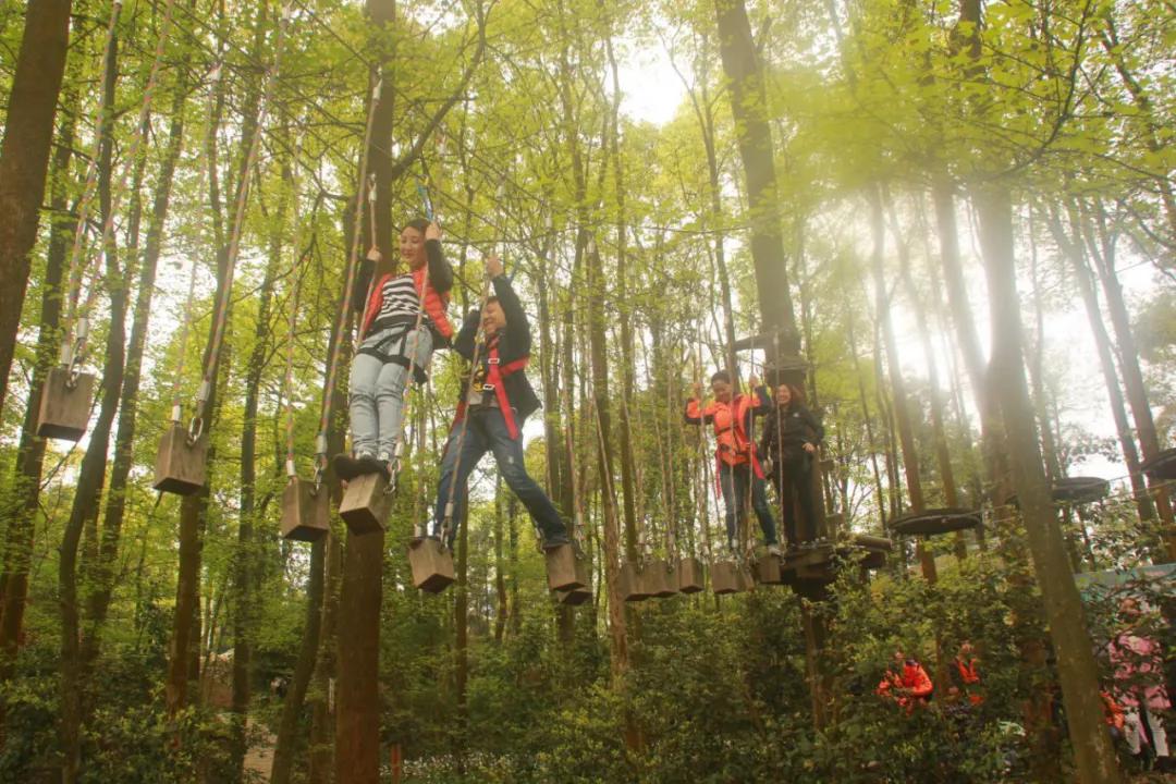 乡村旅游精品线路视频,2020年全国精品乡村旅游路线