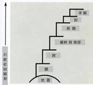 击球挥拍收力,击球的基本环节顺势挥拍
