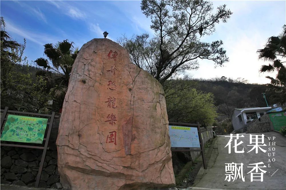 一位女村官的故事,一个农村姑娘的创业史