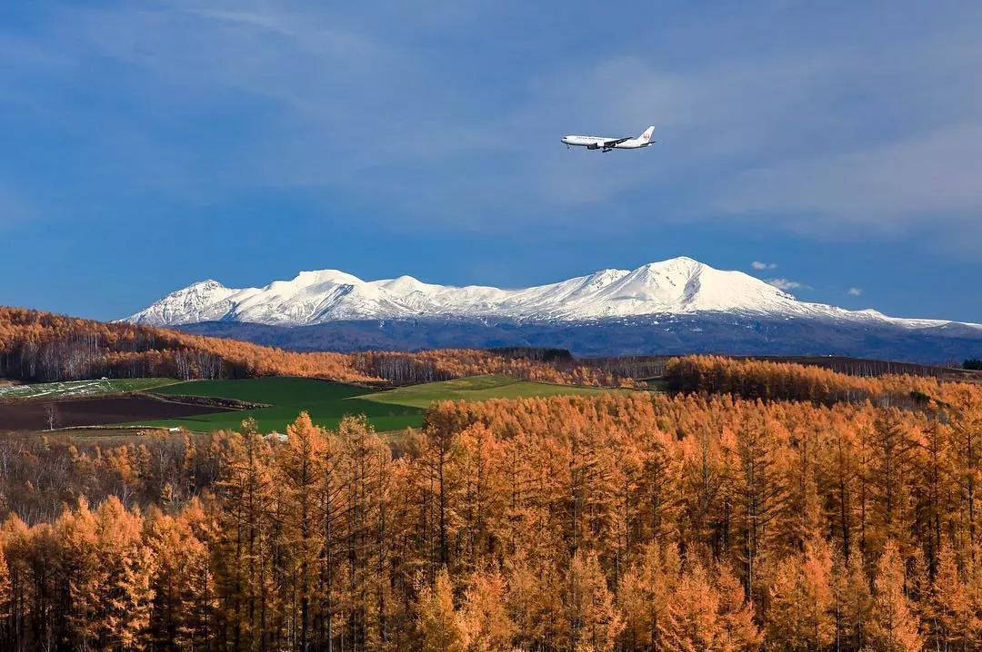 停车坐爱枫林晚，感受火红的秋