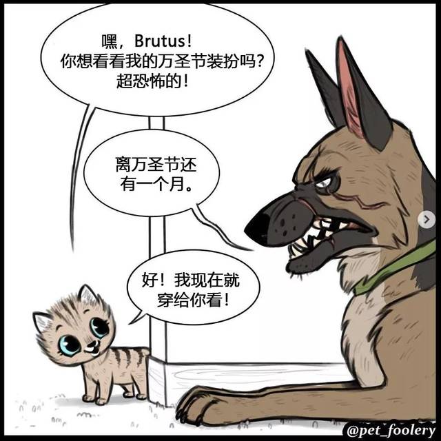 这反差萌也太有爱了，实力宠喵没商量！