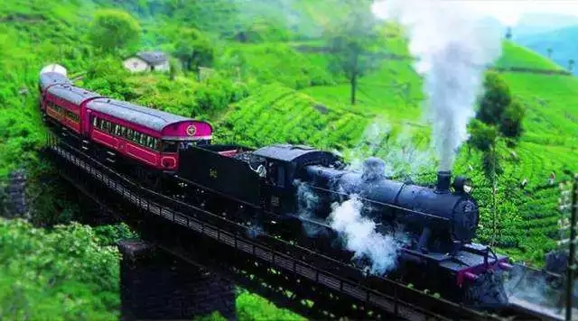 亚洲茶文化介绍,世界茶文化的发源地