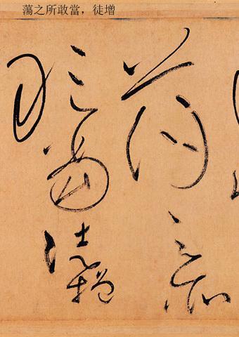 草书大家怀素书法的诀窍,草书书法作品特点