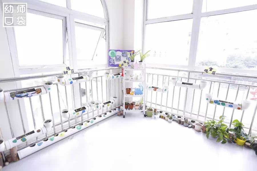 特色幼儿园活动区,高端幼儿园特色活动