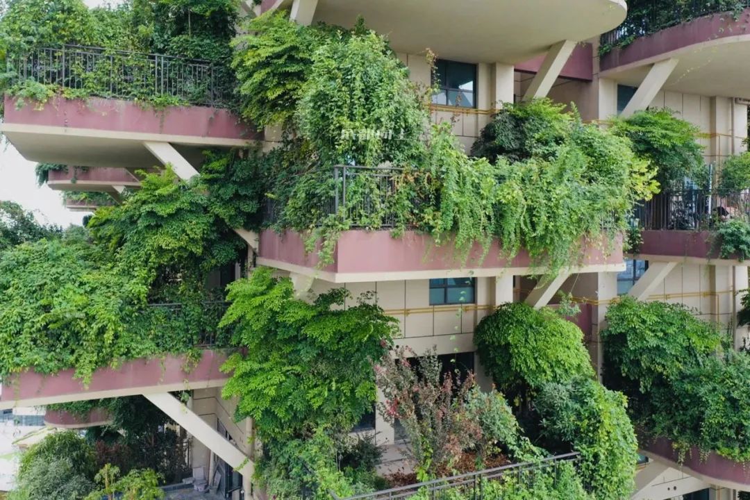 表笑，新都在建筑设计上已逆袭，站稳鄙视链顶端