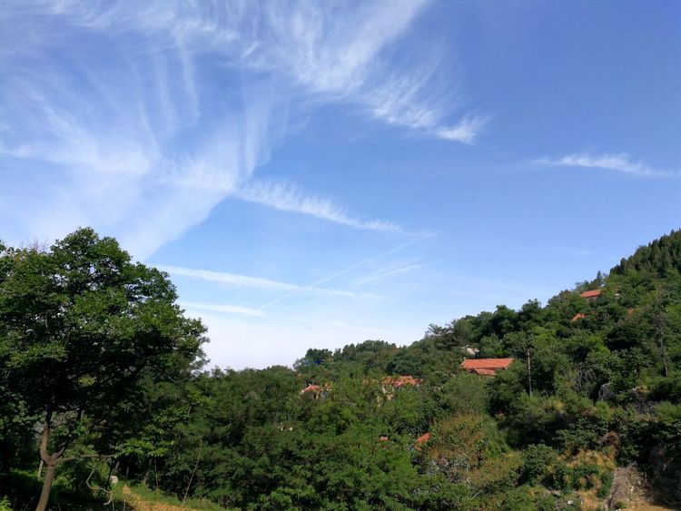 青州青山绿水景区,青州网红打卡地古城