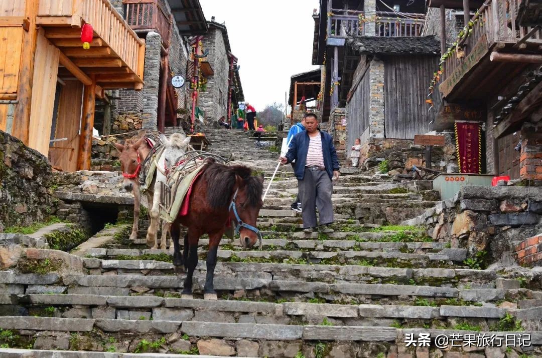 探秘山村古宅视频,广东千年古村落无人村